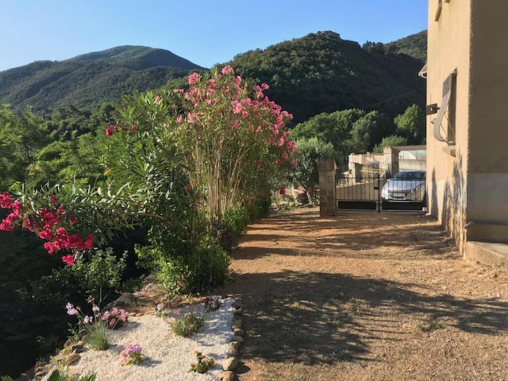 Bel Appartement Type F3 Amélie-les-Bains-Palalda Zewnętrze zdjęcie